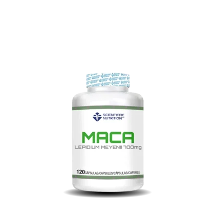 RHODIOLA ROSEA - ASHWAGANDHA 60 C?PSULAS SCIENTIFFIC NUTRITION